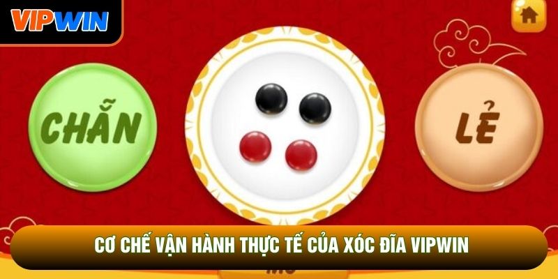 Cơ chế vận hành thực tế của xóc đĩa Vipwin Cơ chế vận hành thực tế của xóc đĩa Vipwin