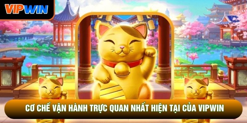 Cơ chế vận hành trực quan nhất hiện tại của Vipwin Cơ chế vận hành trực quan nhất hiện tại của Vipwin