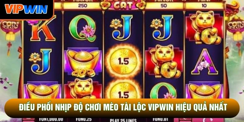 Điều phối nhịp độ chơi mèo tài lộc Vipwin hiệu quả nhất Điều phối nhịp độ chơi mèo tài lộc Vipwin hiệu quả nhất