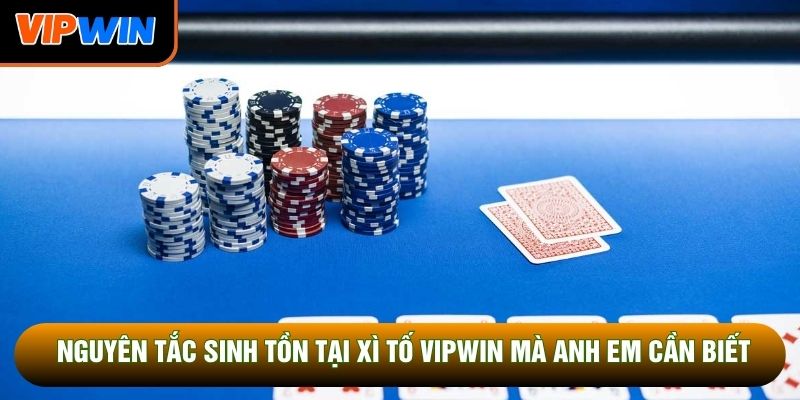 Nguyên tắc sinh tồn tại xì tố Vipwin mà anh em cần biết Nguyên tắc sinh tồn tại xì tố Vipwin mà anh em cần biết