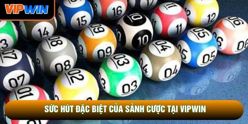 Sức hút đặc biệt của sảnh cược tại Vipwin