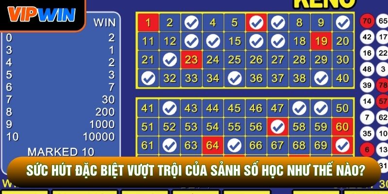 Sức hút đặc biệt vượt trội của sảnh số học như thế nào? Sức hút đặc biệt vượt trội của sảnh số học như thế nào?