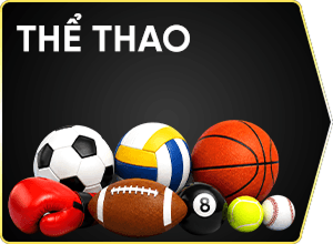 the-thao-vipwin