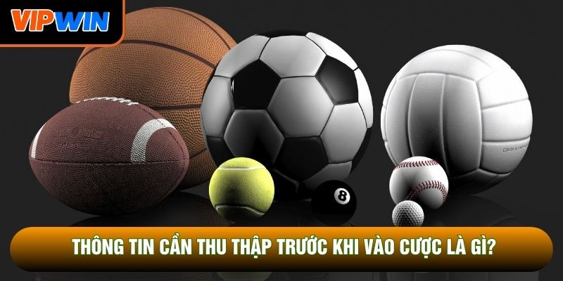 Thông tin cần thu thập trước khi vào cược là gì? Thông tin cần thu thập trước khi vào cược là gì?